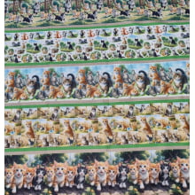 Tecido Tricoline Digital Barrado Cats and Dogs